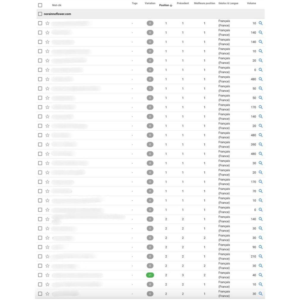 permiere-position-redaction-seo